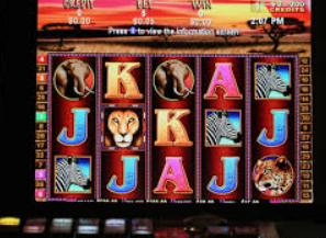 金沙足球正版app下载2024最新版